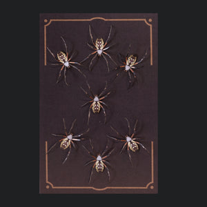 💫Halloween💫 Spider Multi-Pack