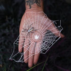 💫Spooky💫 'Weaver' Spiderweb & Spider Set - Artist Discount