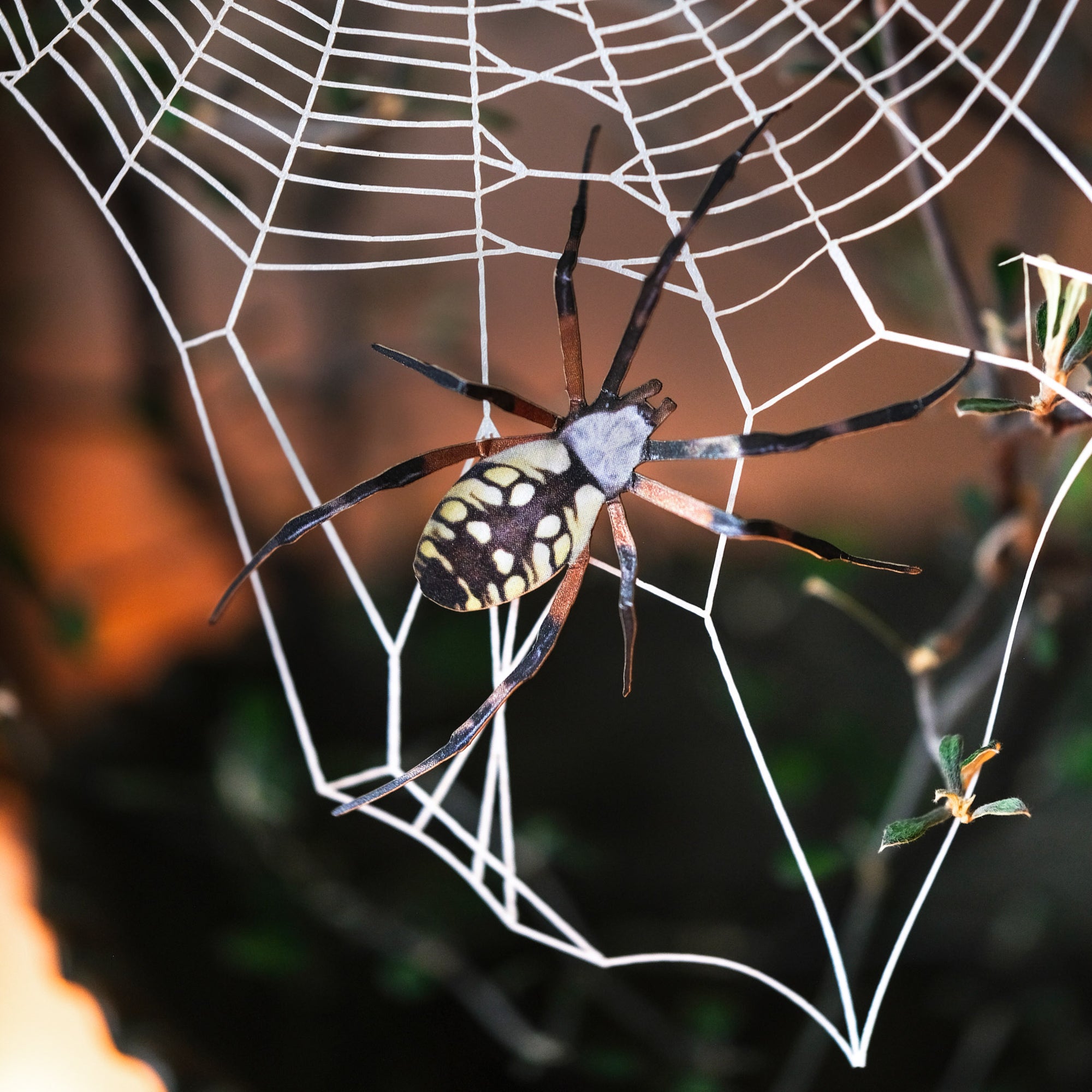 'Weaver' Spiderweb & Spider Set