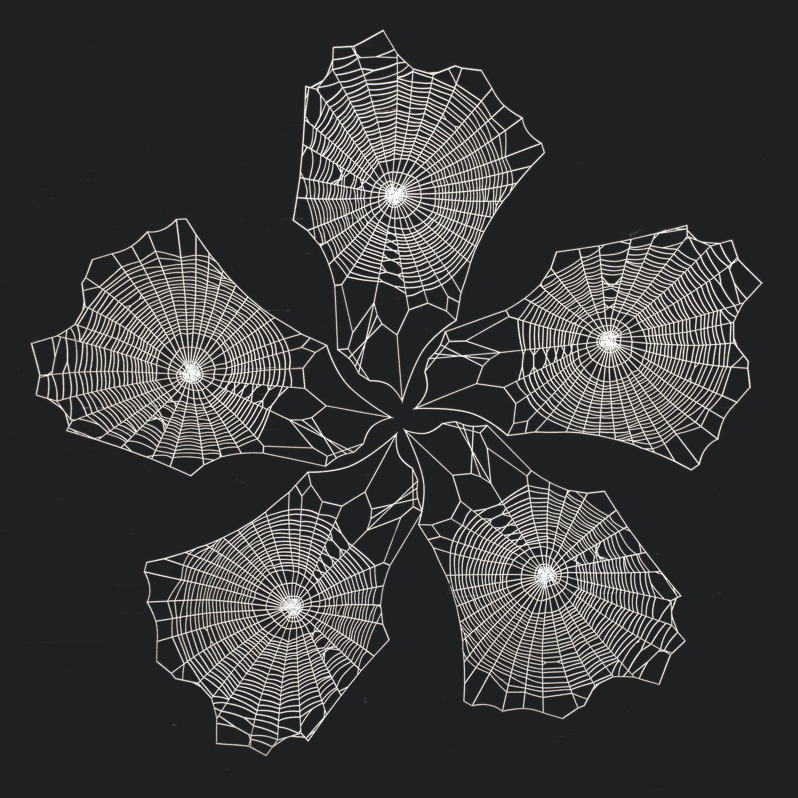 Spiderweb Multi-Pack