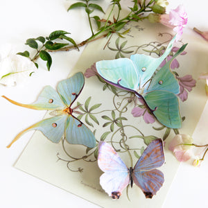 ‘Spring’ Luna Moth Set - Artist Discount