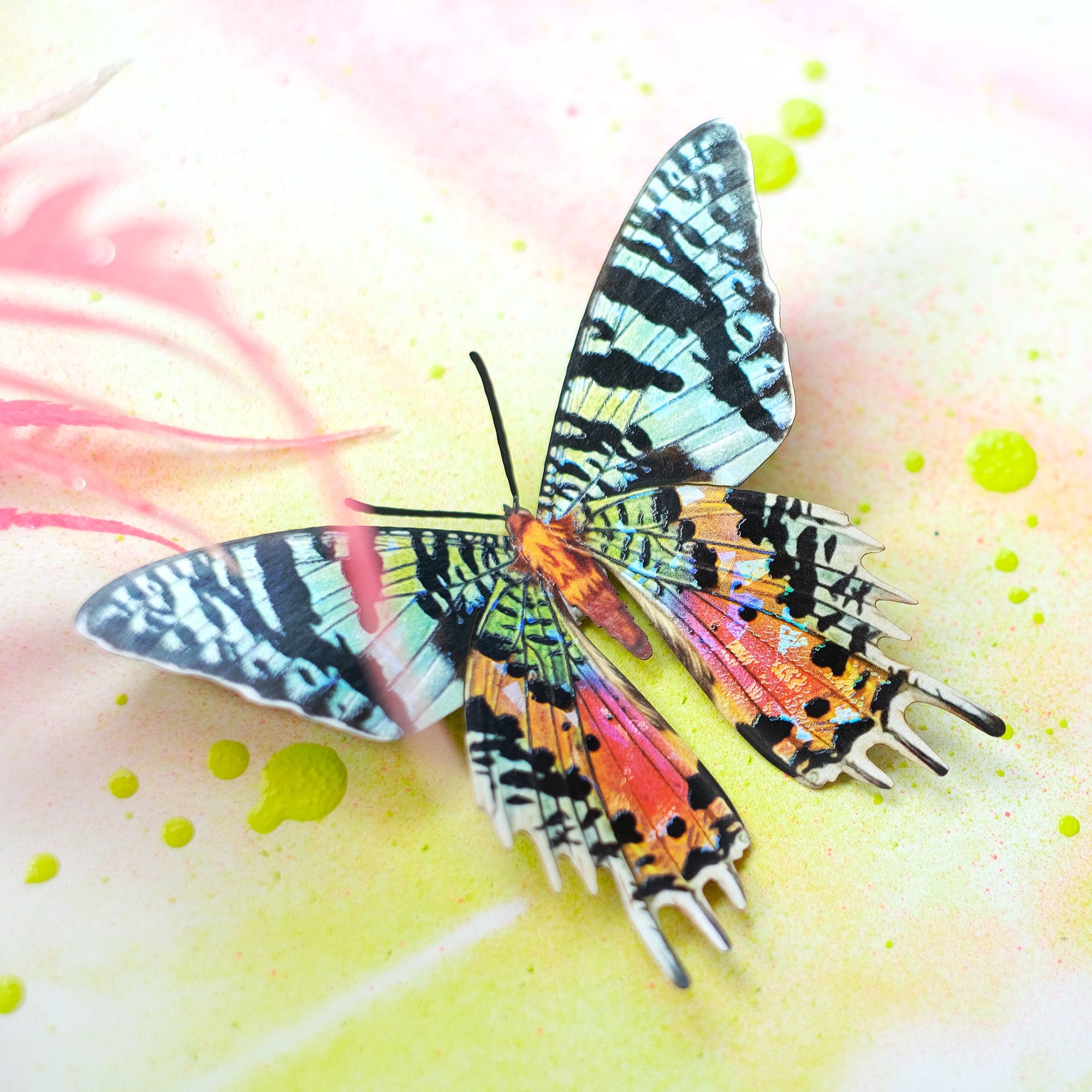 'Rothschild' Birdwing Butterfly Set Artist Wholesale