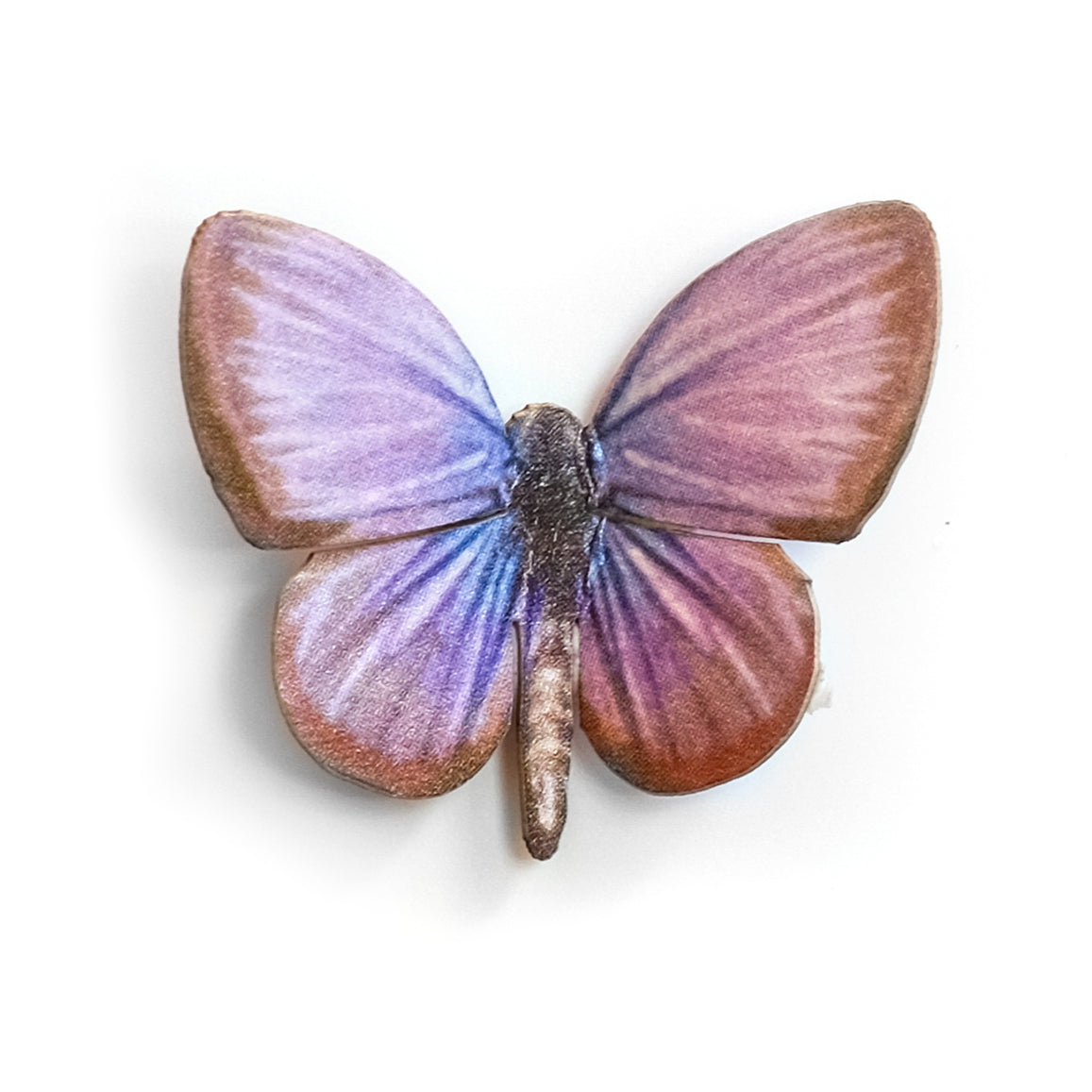 'Tiny Grass Blue' Butterfly