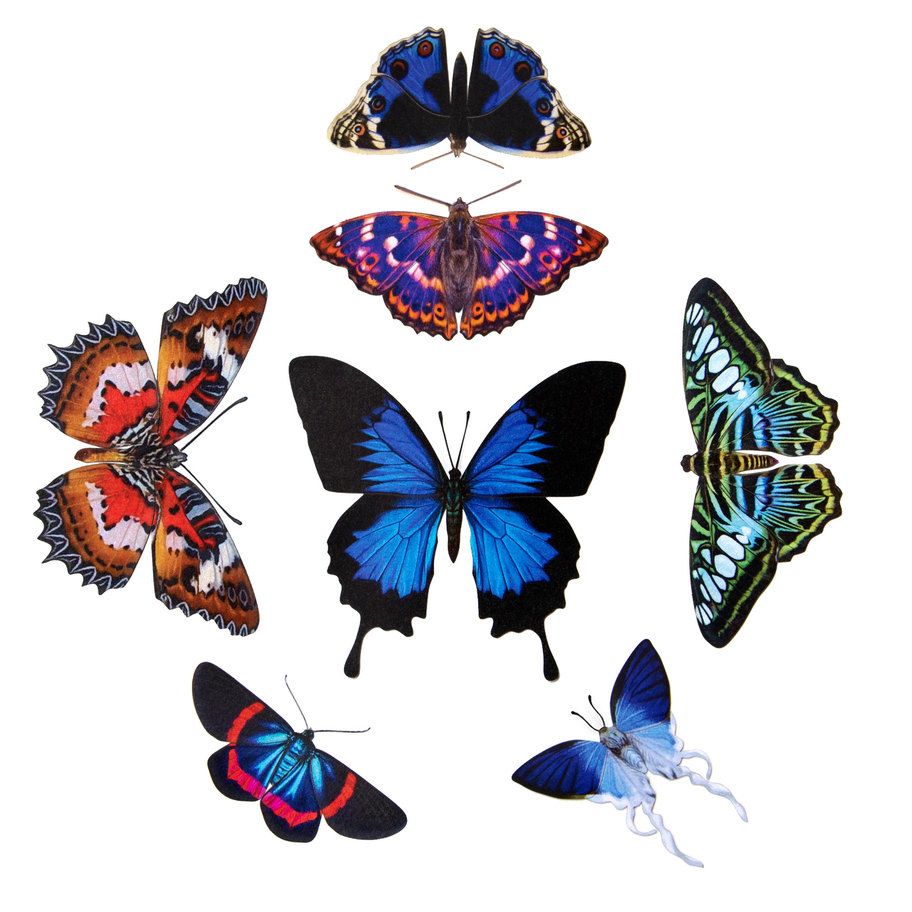 Paper Butterfly 7-Piece Set ' Topaz' - Moth & Myth