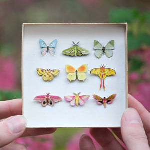 ’Utopia' Micro Moth & Butterfly Collection - Artist Wholesale
