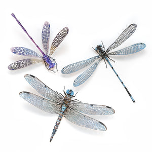 💫New💫 'Aerial' Dragonfly Set Reseller Wholesale