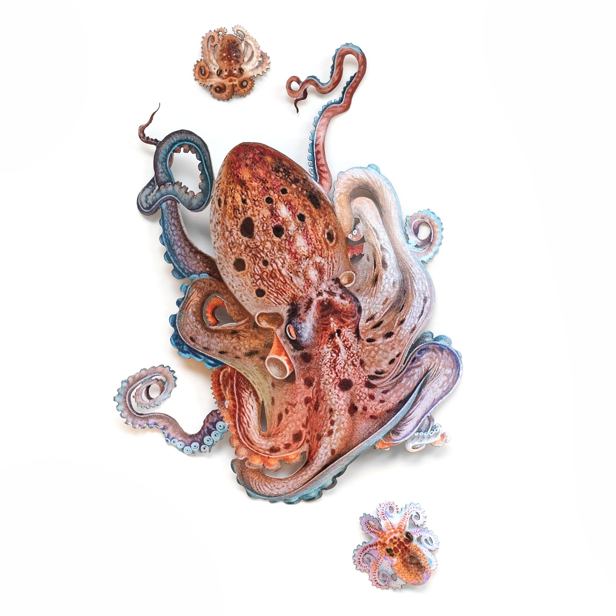 'Kraken' Octopus Set Artist Wholesale