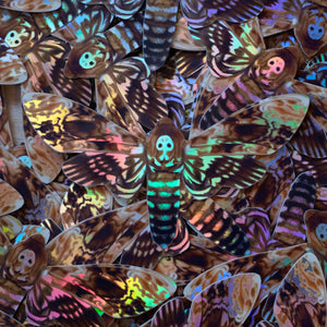 💫Halloween💫 Holographic Death's-Head Moth Stickers