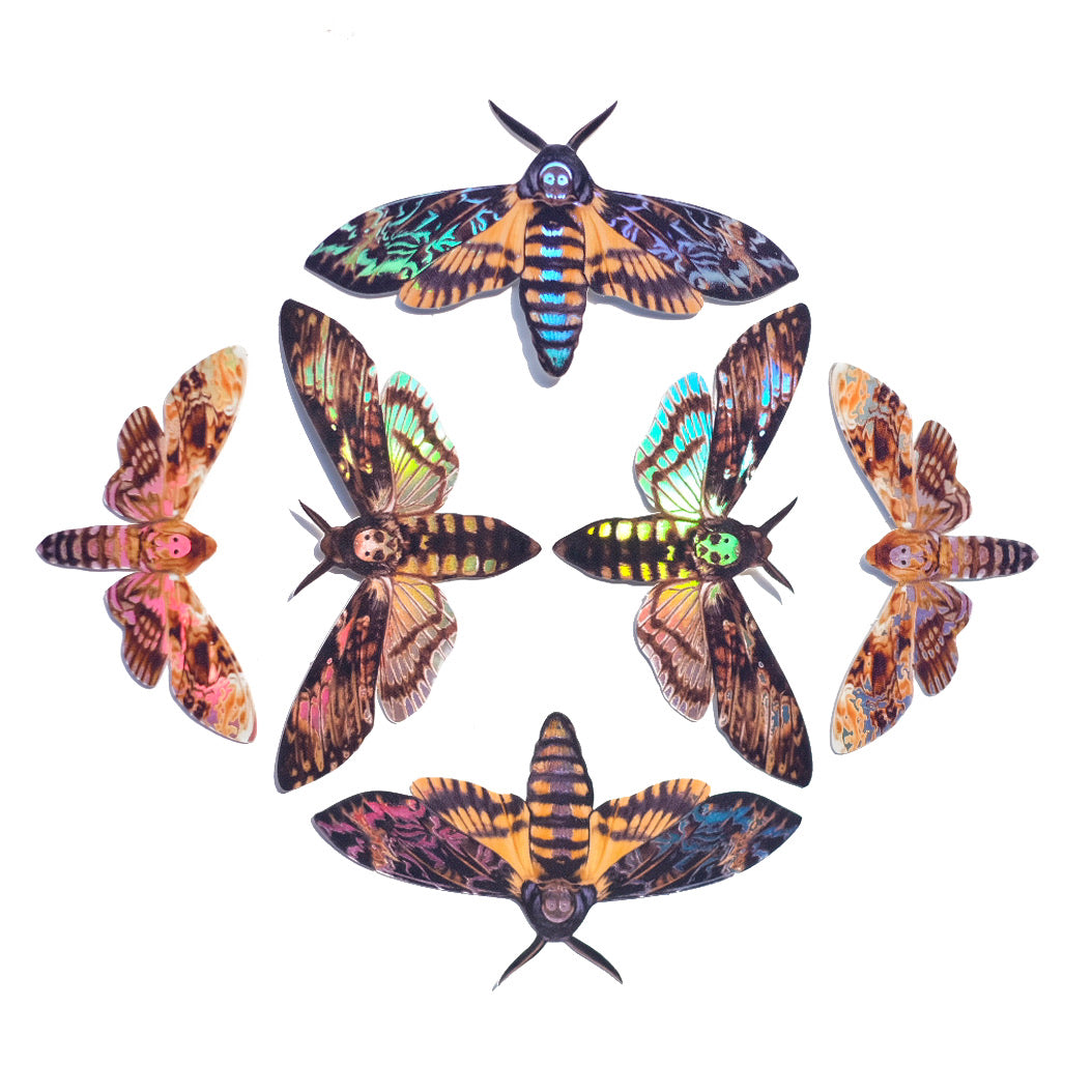 💫Halloween💫 Holographic Death's-Head Moth Stickers