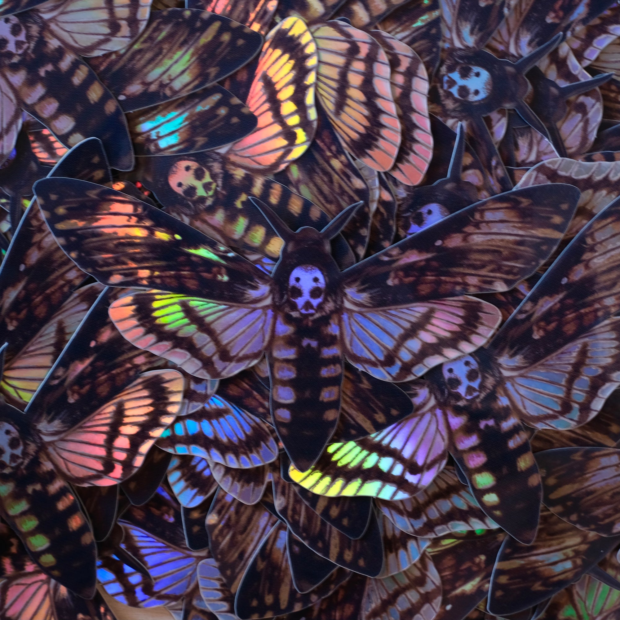 Holographic Death's-Head Moth Stickers