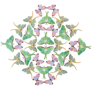 'Spring' Luna Moth Multi-Pack