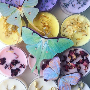 ‘Spring’ Luna Moth Set Artist Wholesale